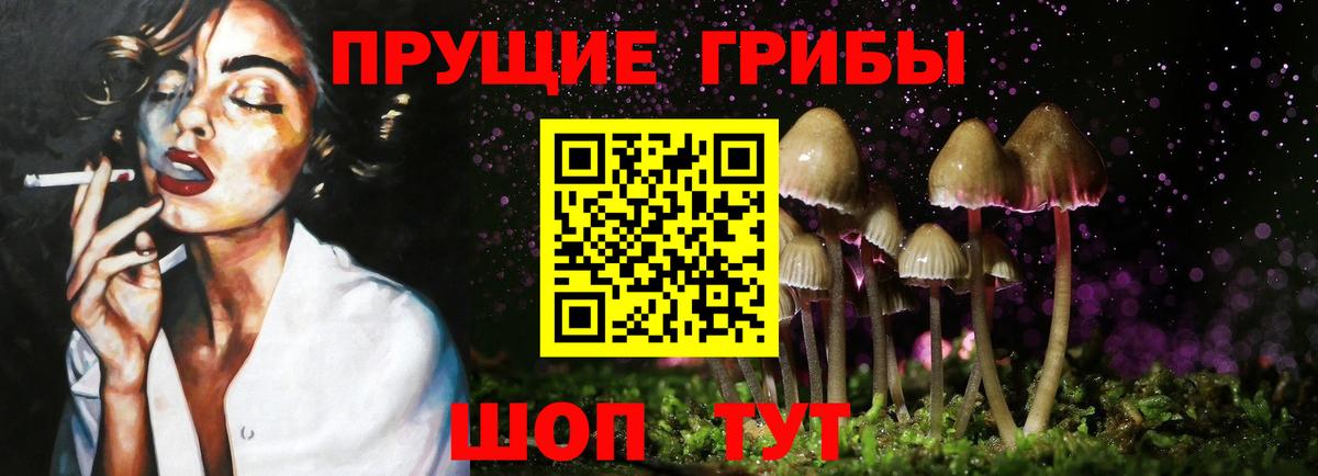 Галлюциногенные грибы прущие грибы Улан-Удэ